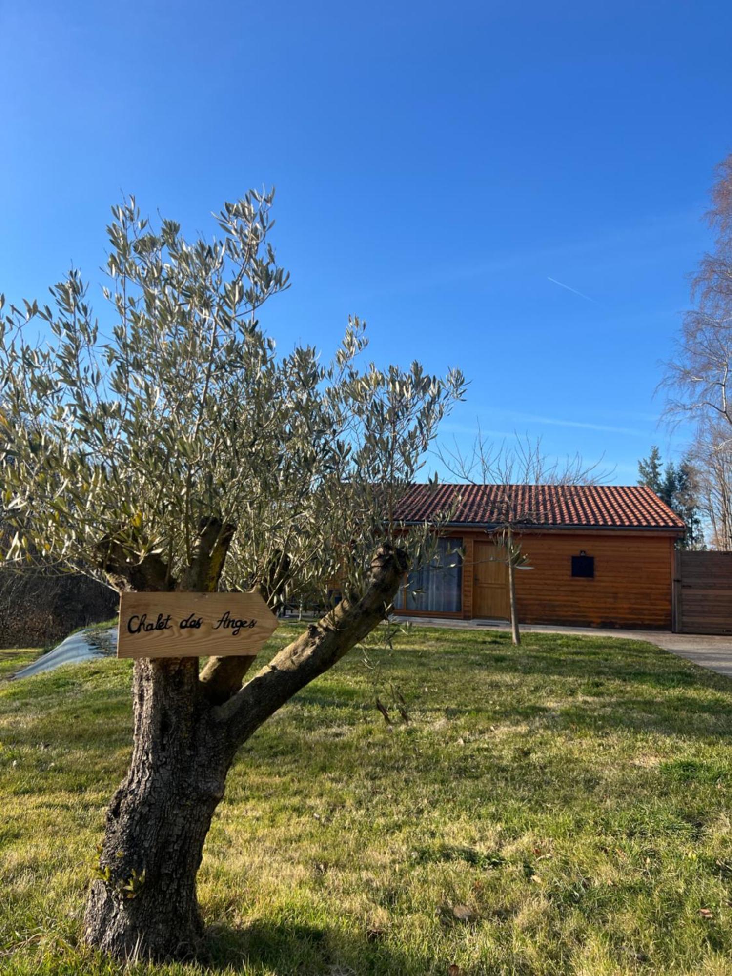 Chalet Des Anges Youx Extérieur photo